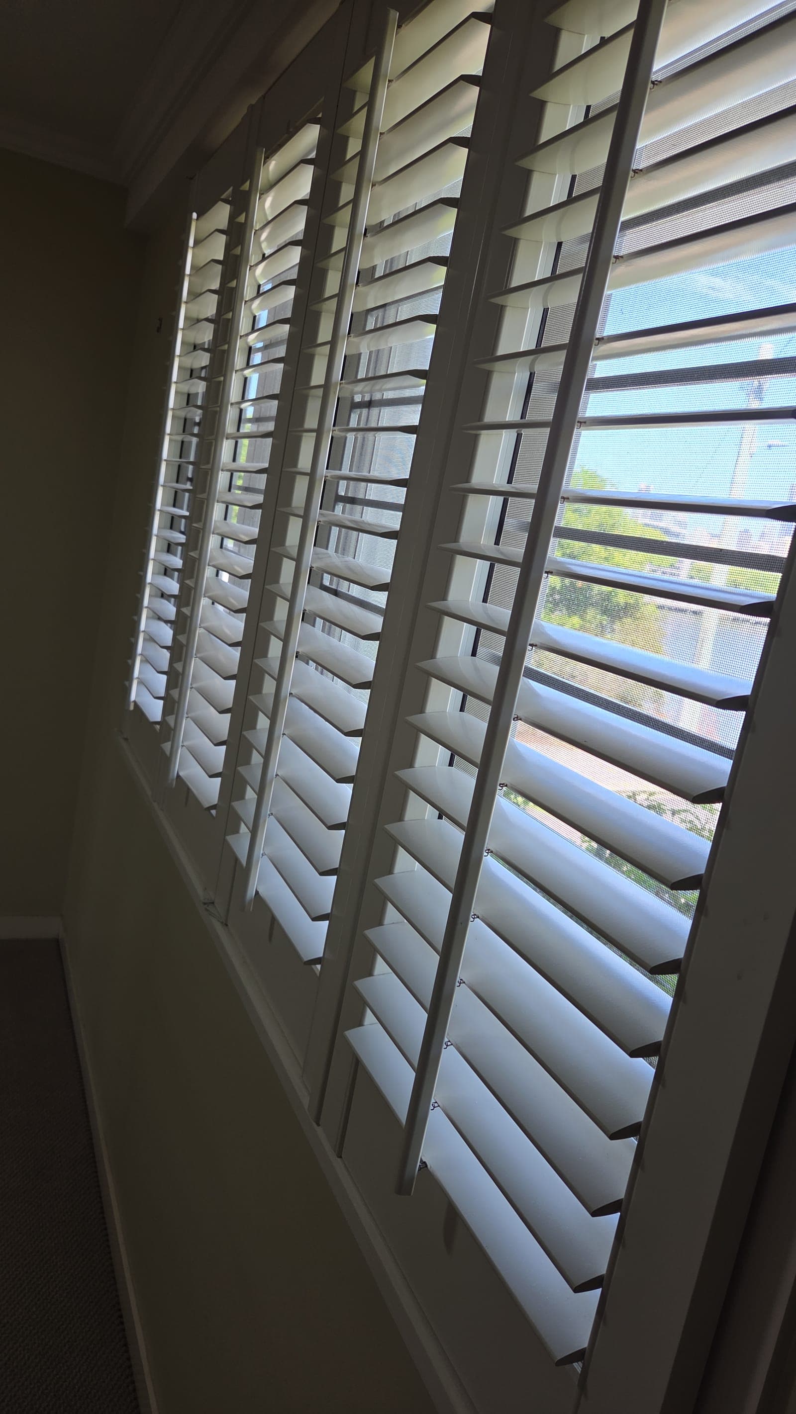 Wiped Window Tracks